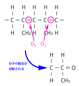 ポリプロピレン・ポリエチレン分子構造